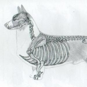 Meet your Posher, C!